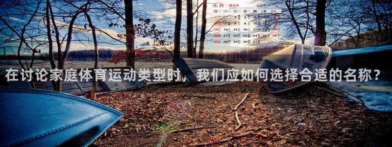 必一运动体育官网入口：在讨论家庭体育运动类型时，我们应如何选择合适的名称？