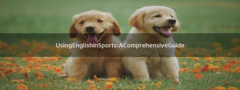 必一运动全站：UsingEnglishinSports:AComprehensiveGuide
