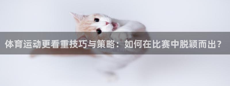 必一运动最新产品有哪些：体育运动更看重技巧与策略：如何在比赛中脱颖而出？