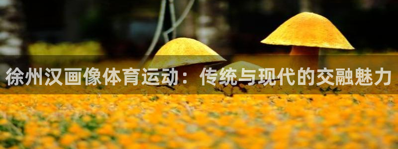 必一运动app怎么样：徐州汉画像体育运动：传统与现代的交融魅力