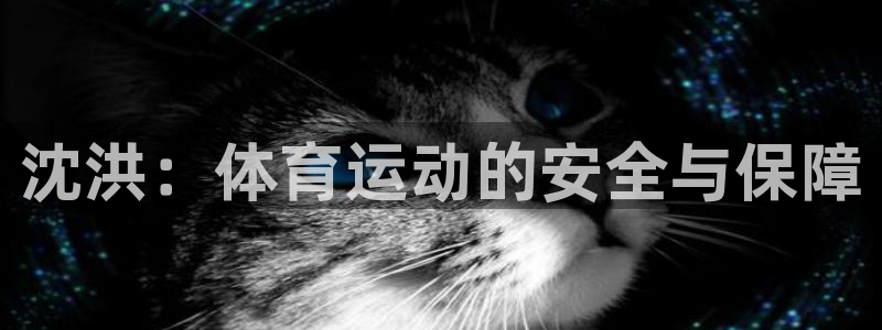 必一运动网址隐藏于：沈洪：体育运动的安全与保障